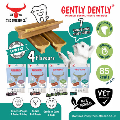 Gently Dently- Salmon Dental Treats for Dogs 175g