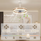 Ceiling Fan with LED Light and Remote - Gold Tone