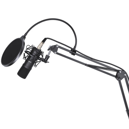 ProSound XLR Microphone with Boom Arm Kit
