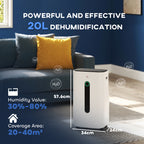 6500mL Portable Dehumidifier with Air Purifier Filter, 24H Timer, 4 Modes, 22L/Day, for Home Laundry Basement