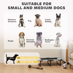 PawHut Portable Raised Dog Bed, Elevated Pet Cot with Breathable Mesh for Indoor Outdoor, for Small Medium Dogs, Light Grey