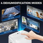 30L/Day Dehumidifier with Auto-Clean Filter, Continuous Drainage, 4L Water Tank, 24H Timer, Digital Humidity Display, Dehumidifier for Home Damp, Bedroom, Condensation, Mould, Laundry Drying