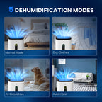 6500mL Portable Dehumidifier with Air Purifier Filter, 24H Timer, 4 Modes, 22L/Day, for Home Laundry Basement