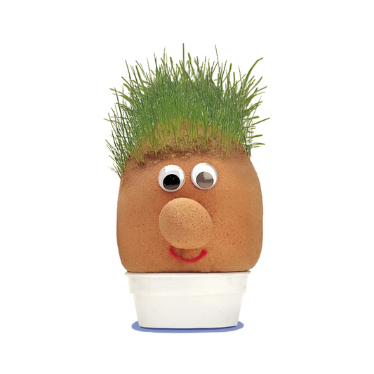 Mr Grass Head - Educational Science Kit
