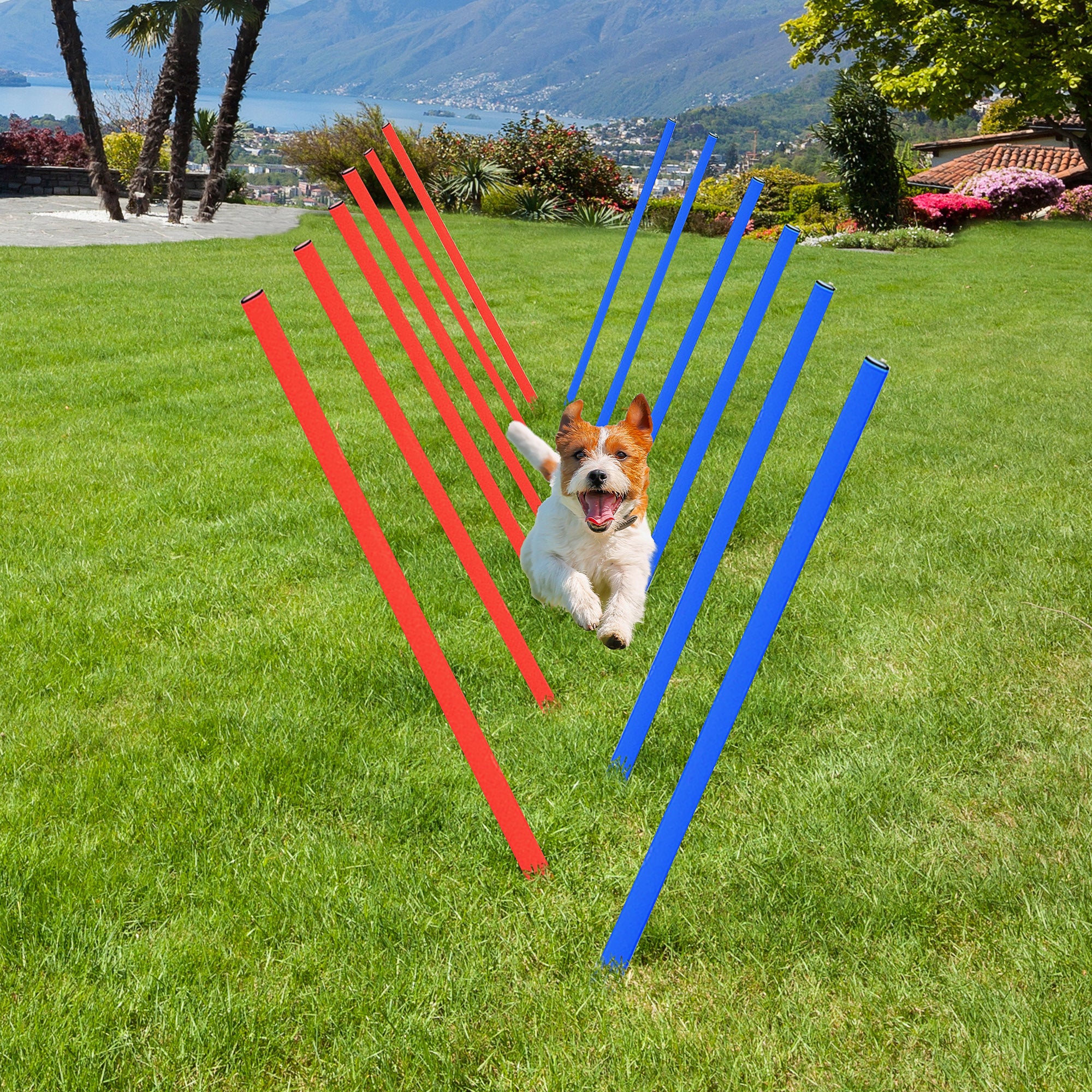 PawHut Dog Agility Training Equipment Dog Play Run Obedience Training Set Adjustable (Poles)