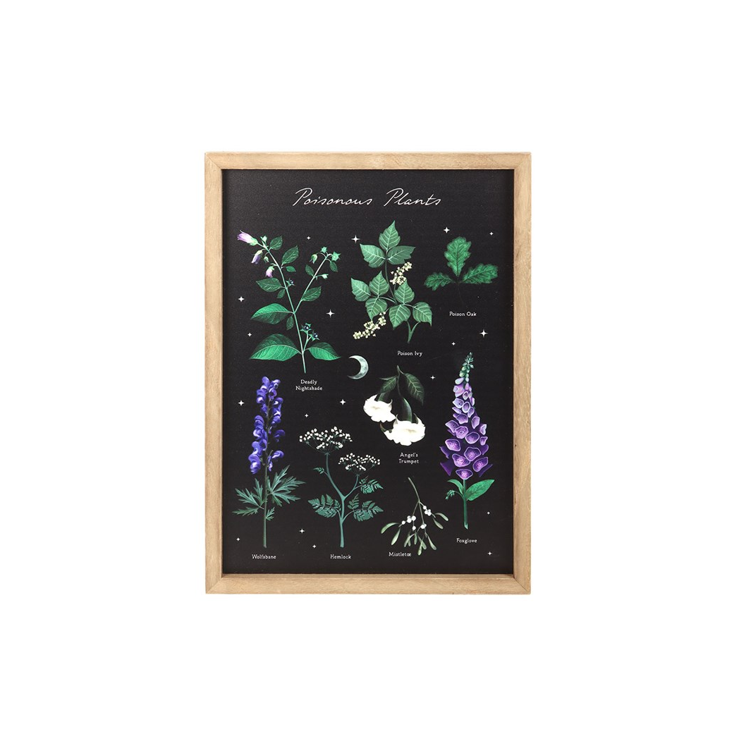 Poisonous Plants Framed Wall Art Print