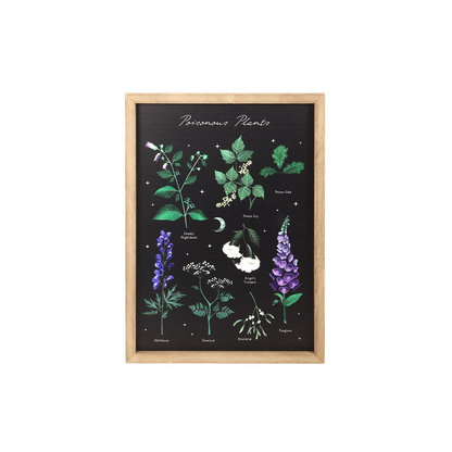 Poisonous Plants Framed Wall Art Print