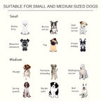 PawHut Raised Dog Feeding Bowls with Stand, Stainless Steel for Medium Dog, 58L x 31W x 25H cm - White
