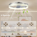Ceiling Fans with Lights and Remote & App Control, 50cm LED Ceiling Fan Light with 3 Colour Temperatures, 6 Speed, Silver
