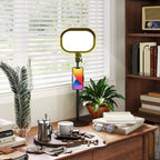 Selfie Light for Video Conference Lighting, Dimmable Desk Lamp with Stand Phone Holder, 5 Colour Modes & 10 Brightness Levels, Memory Function for Home Office, Recording, Video Calls, Black