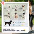 PawHut Foldable Dog Stroller, Pet Travel Crate, with Detachable Carrier, Soft Padding, for Mini, Small Dogs - Grey