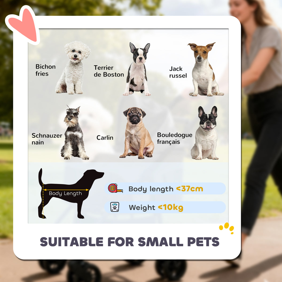 PawHut Pet Stroller, Foldable Dog Cat Stroller with Detachable Carrier, Wheels, Storage Basket, Secure Leash