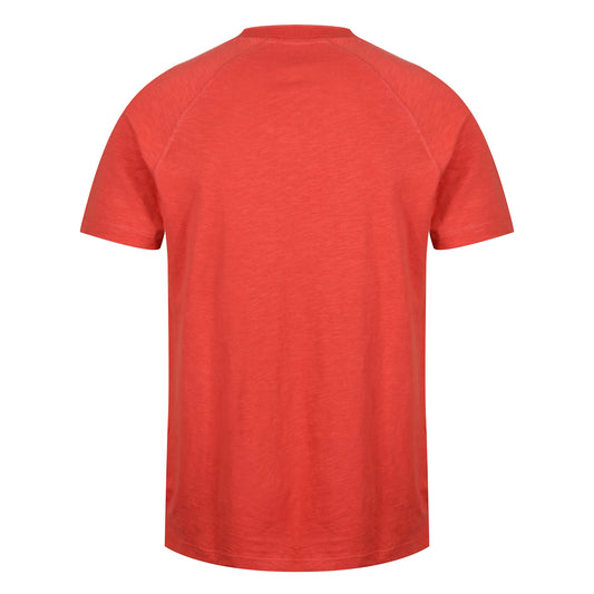 GAP Short Sleeve Henley T-Shirt