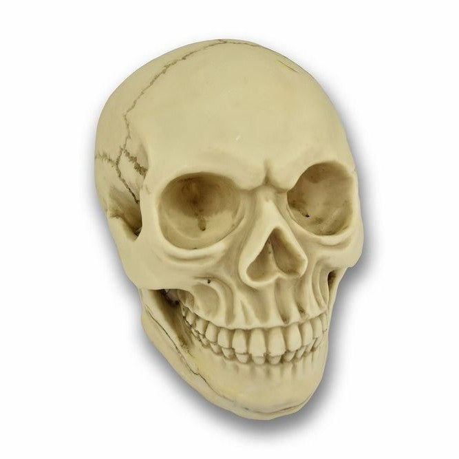 Original Size Halloween Skull Decoration
