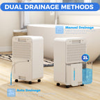 2000mL Portable Dehumidifier with Air Purifier, 24H Timer, 5 Modes, 12L/Day, for Home Laundry, White